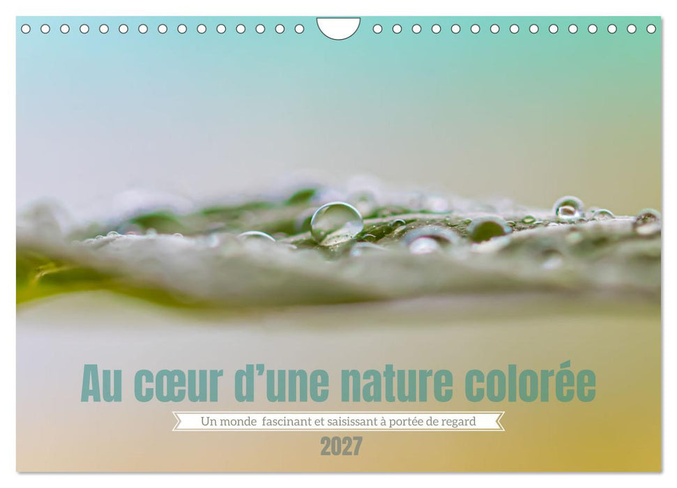Au cœur d’une nature colorée (CALVENDO Calendrier mensuel 2027)