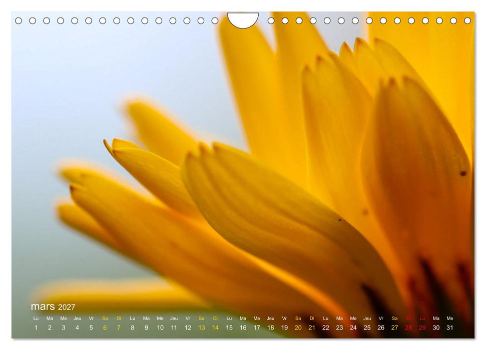 Au cœur d’une nature colorée (CALVENDO Calendrier mensuel 2027)