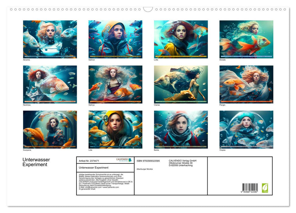 Unterwasser Experiment (CALVENDO Wandkalender 2027)