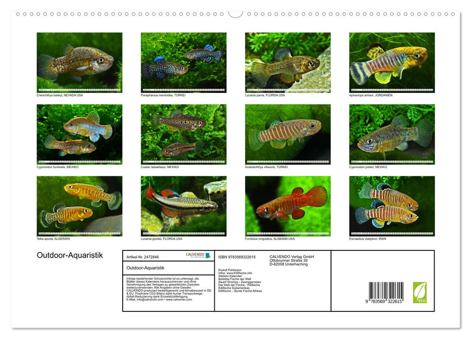 Outdoor-Aquaristik (CALVENDO Premium Wandkalender 2027)