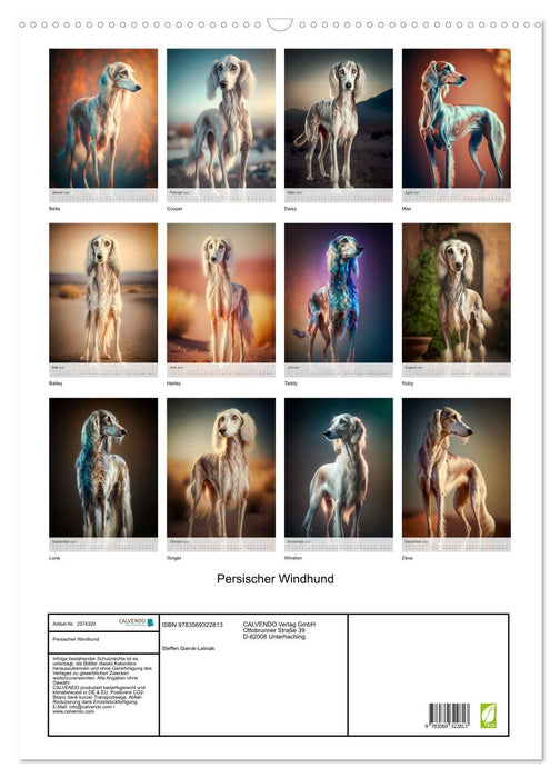 Persischer Windhund (CALVENDO Wandkalender 2027)