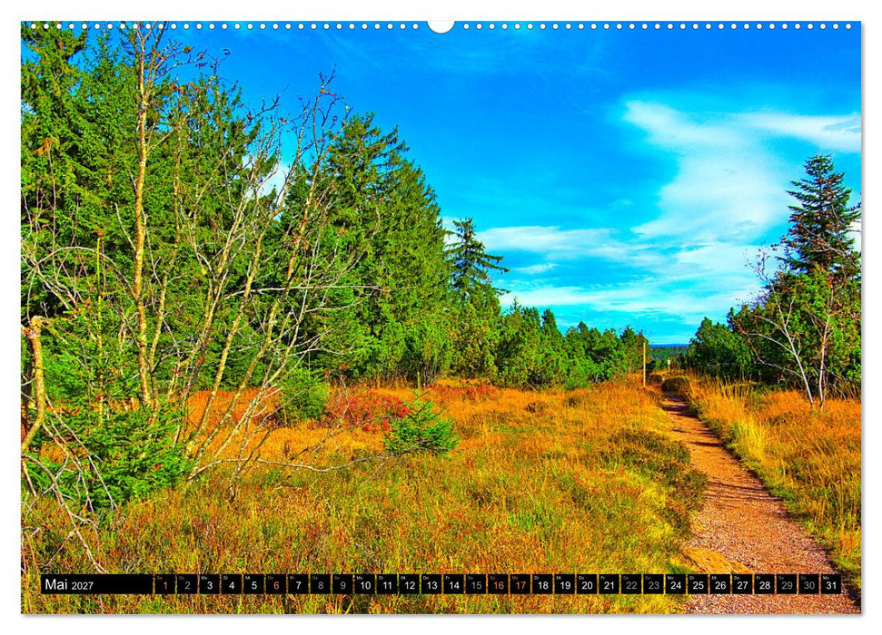 Europa durchwandern (CALVENDO Premium Wandkalender 2027)