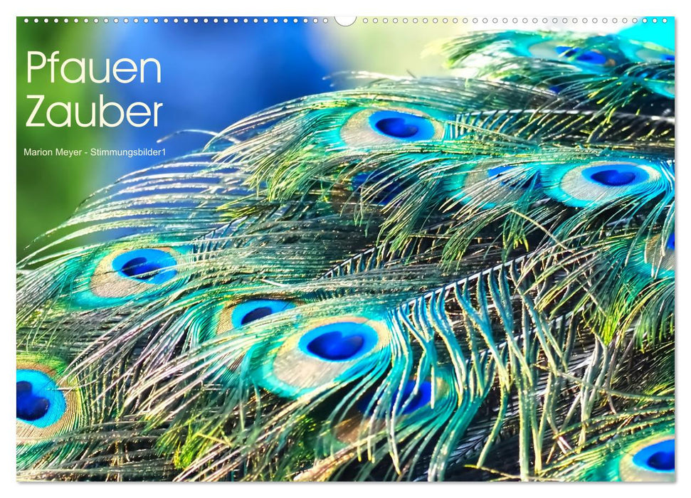 Pfauen Zauber (CALVENDO Wandkalender 2027)