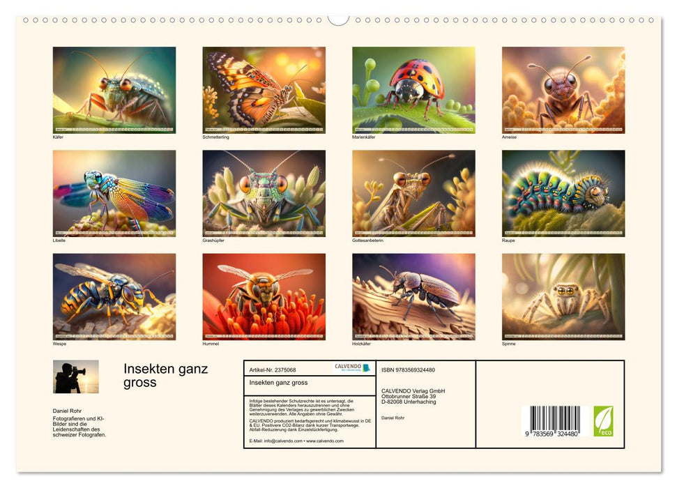 Insekten ganz gross (CALVENDO Premium Wandkalender 2027)
