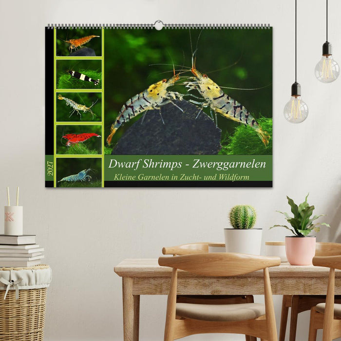 Dwarf Shrimps - Zwerggarnelen (CALVENDO Wandkalender 2027)
