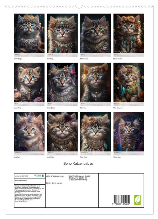 Boho Katzenbabys (CALVENDO Premium Wandkalender 2027)