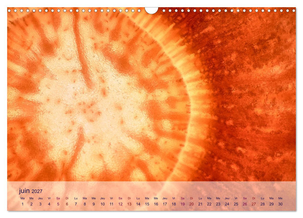 Cœur de fruits cœur de légumes (CALVENDO Calendrier mensuel 2027)