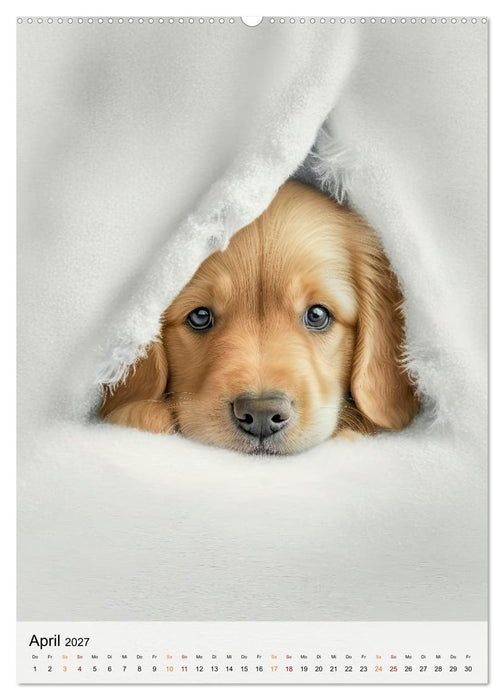 Golden Retriever - ein Hund für die Familie (CALVENDO Wandkalender 2027)