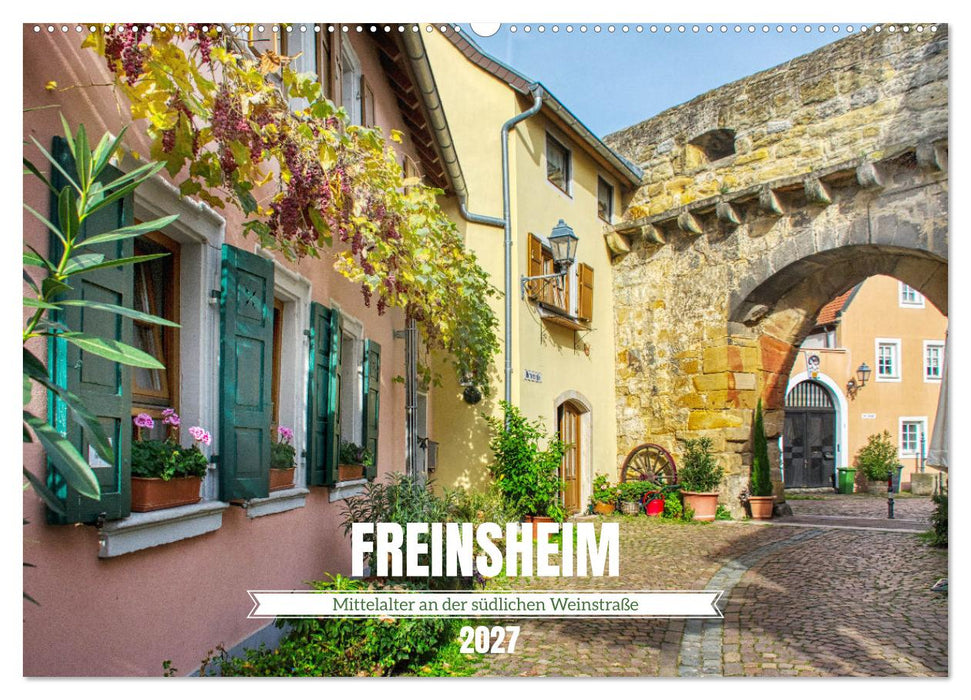 Freinsheim - Mittelalter an der südlichen Weinstraße (CALVENDO Wandkalender 2027)