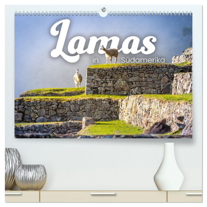Lamas in Südamerika (CALVENDO Premium Wandkalender 2027)