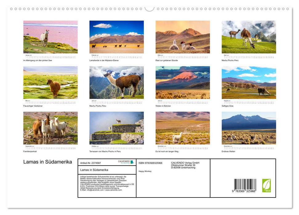 Lamas in Südamerika (CALVENDO Premium Wandkalender 2027)