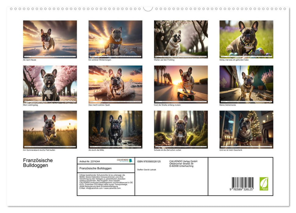Französische Bulldoggen (CALVENDO Premium Wandkalender 2027)