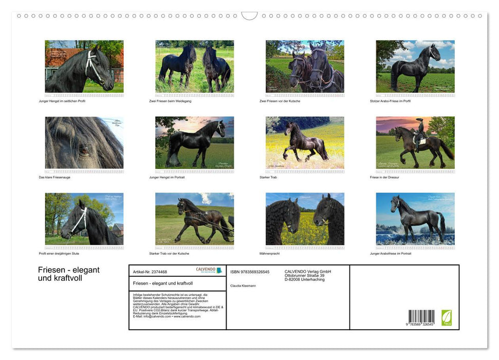 Friesen - elegant und kraftvoll (CALVENDO Wandkalender 2027)