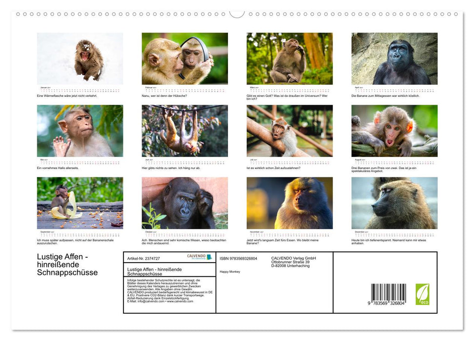 Lustige Affen - hinreißende Schnappschüsse (CALVENDO Premium Wandkalender 2027)