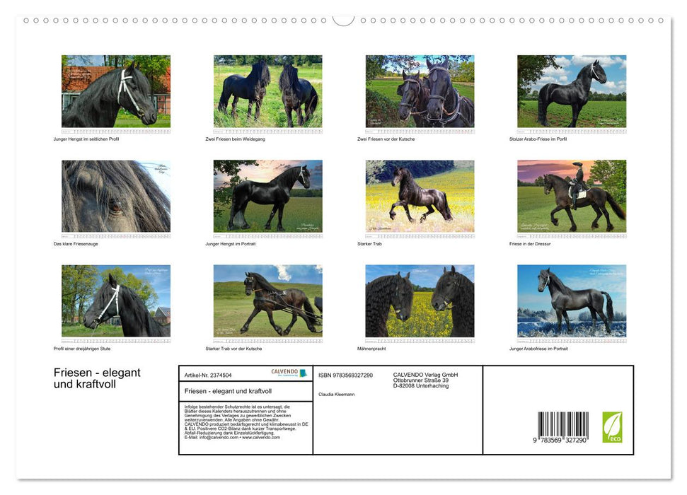 Friesen - elegant und kraftvoll (CALVENDO Premium Wandkalender 2027)