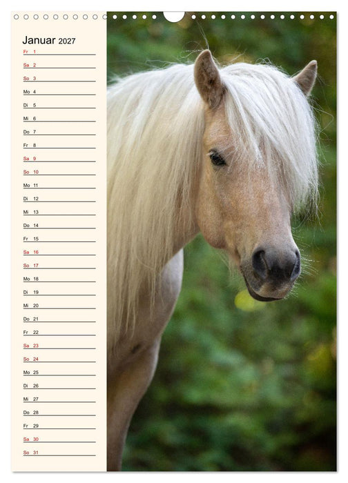 Isländer Geburtstagskalender (CALVENDO Wandkalender 2027)