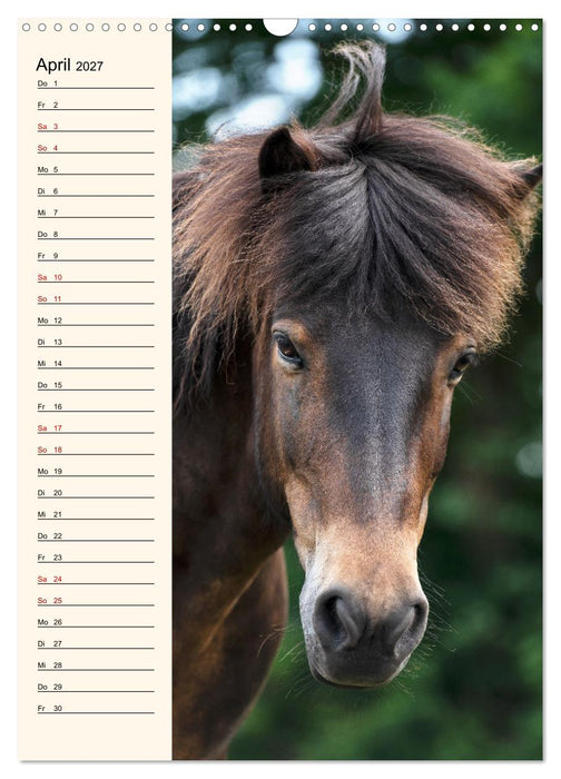 Isländer Geburtstagskalender (CALVENDO Wandkalender 2027)