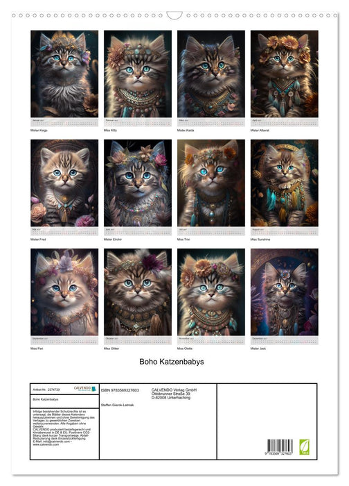 Boho Katzenbabys (CALVENDO Wandkalender 2027)