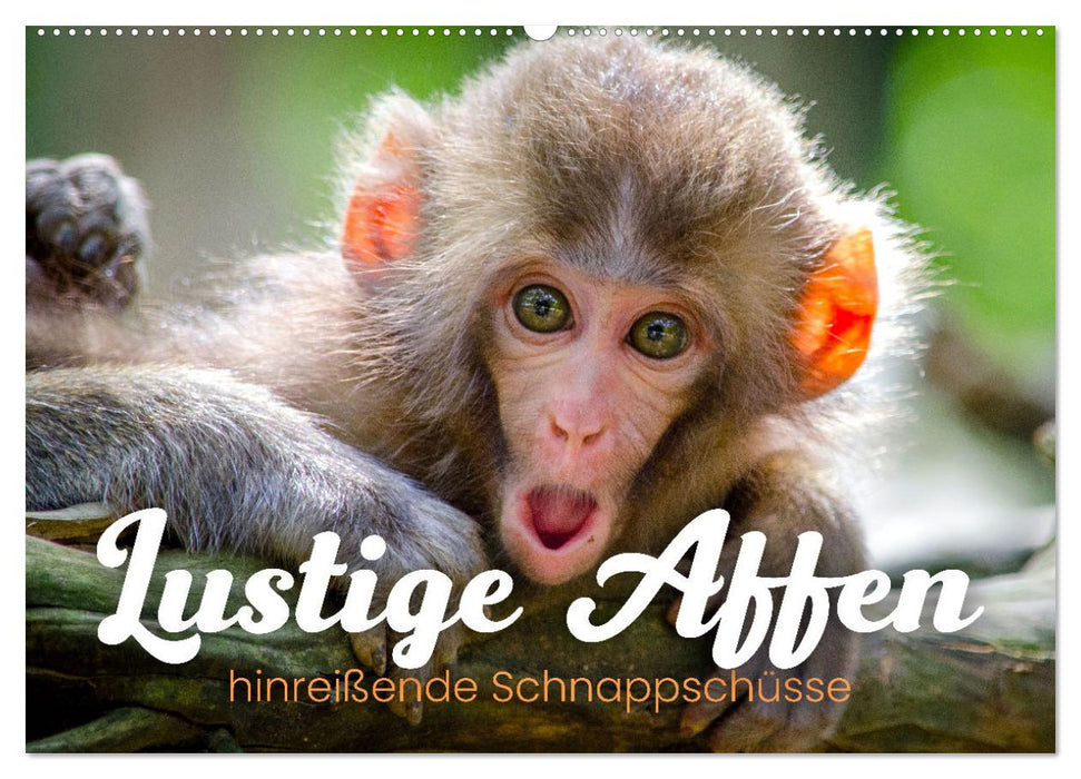 Lustige Affen - hinreißende Schnappschüsse (CALVENDO Wandkalender 2027)