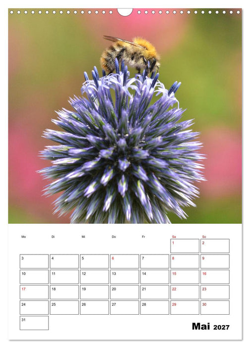 Hummeln und Bienen Terminplaner (CALVENDO Wandkalender 2027)