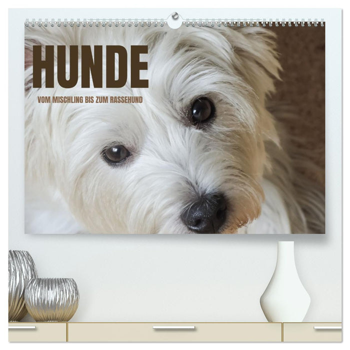 Hunde - vom Mischling bis zum Rassehund (CALVENDO Premium Wandkalender 2027)