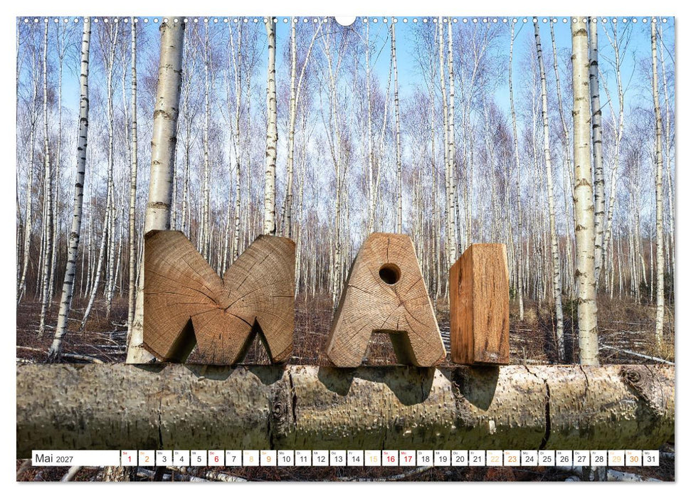 Holz, ein fantastischer Rohstoff. (CALVENDO Premium Wandkalender 2027)