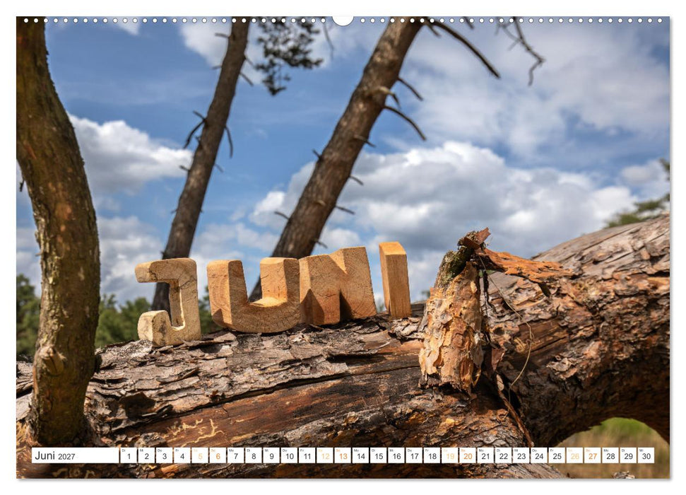 Holz, ein fantastischer Rohstoff. (CALVENDO Premium Wandkalender 2027)