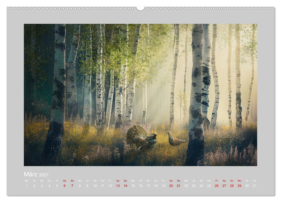 Wald der Märchen (CALVENDO Wandkalender 2027)