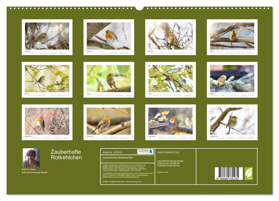 Zauberhafte Rotkehlchen (CALVENDO Premium Wandkalender 2027)