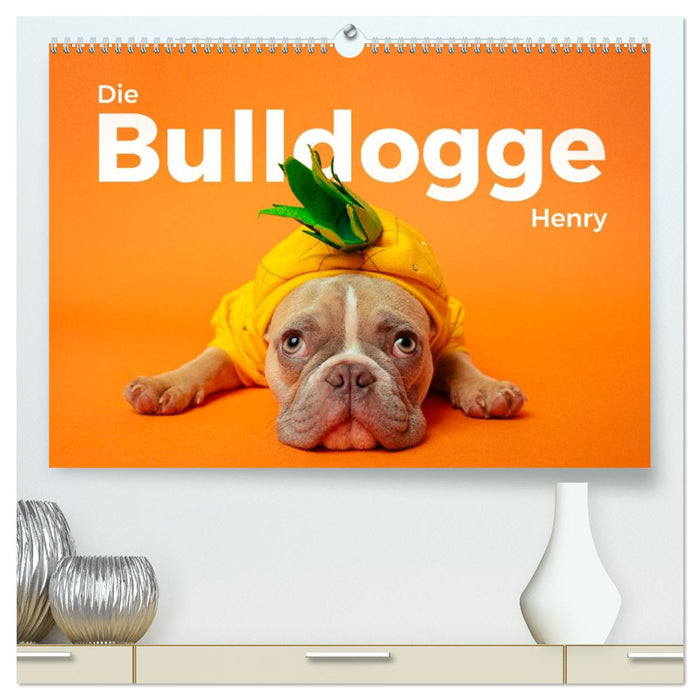 Die Bulldogge Henry (CALVENDO Premium Wandkalender 2027)