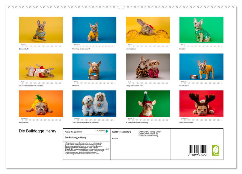 Die Bulldogge Henry (CALVENDO Premium Wandkalender 2027)