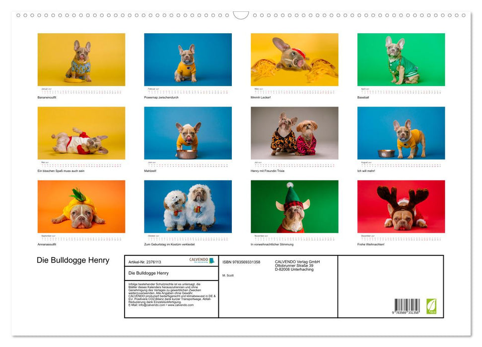 Die Bulldogge Henry (CALVENDO Wandkalender 2027)
