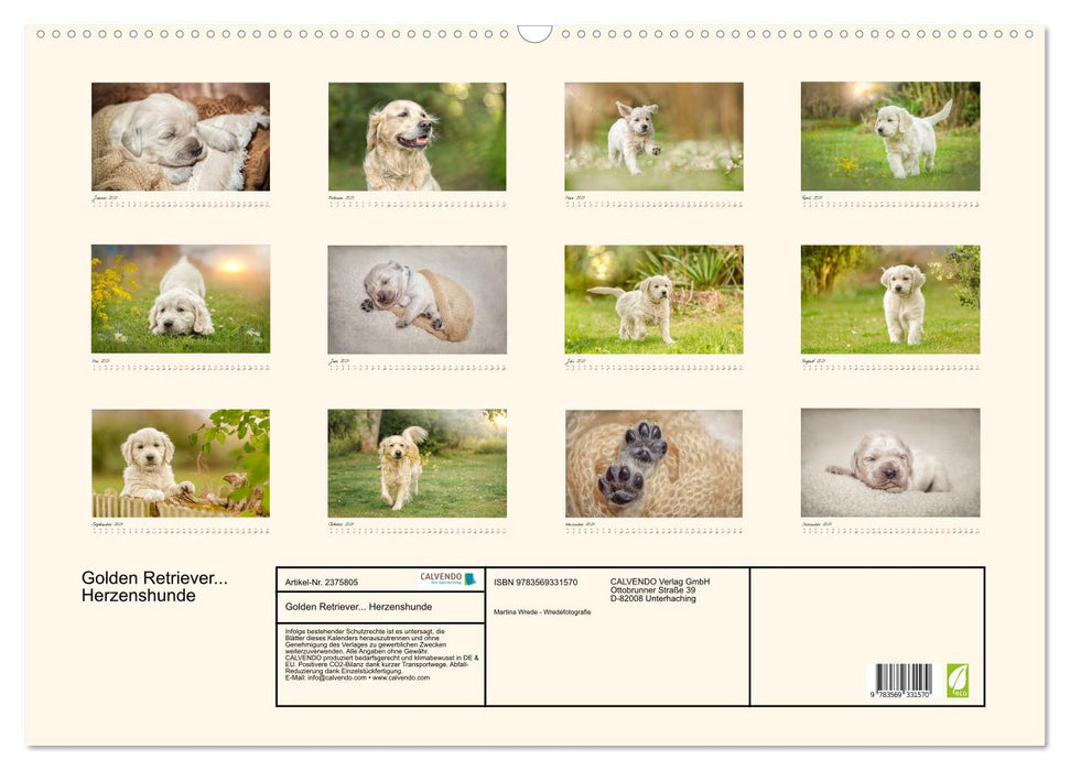 Golden Retriever... Herzenshunde (CALVENDO Wandkalender 2027)
