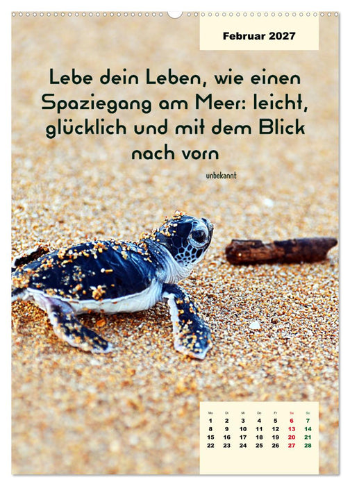 Verrückt nach MEER - Wellen - Strand - Zitate (CALVENDO Wandkalender 2027)
