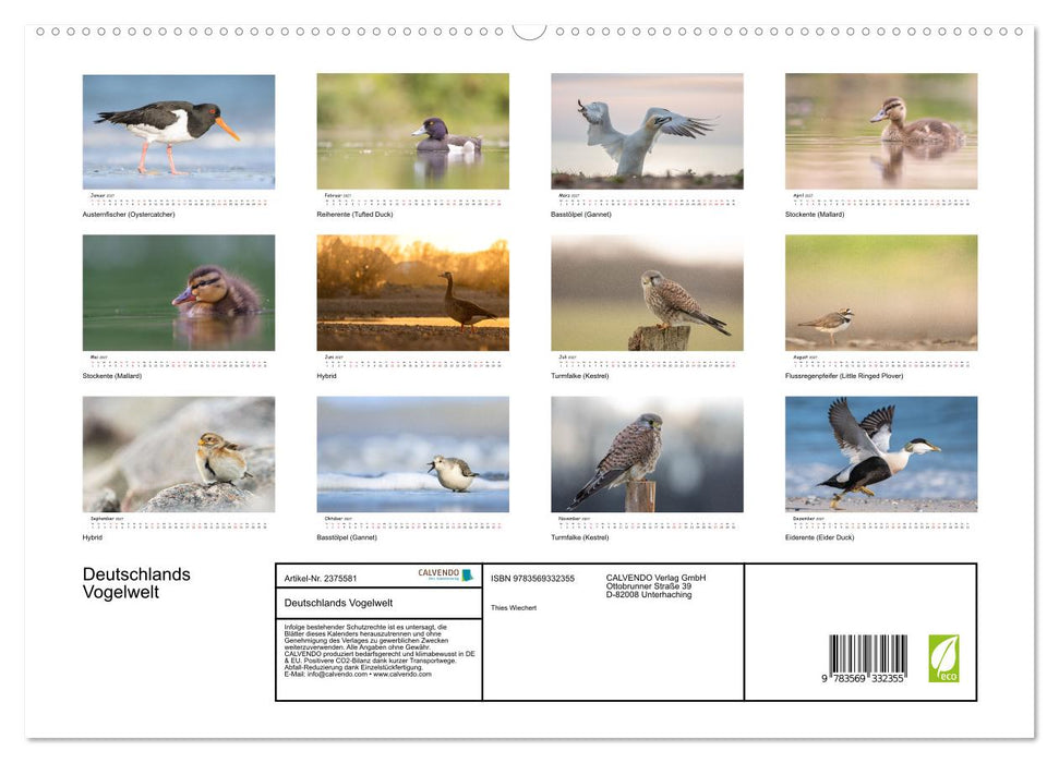 Deutschlands Vogelwelt (CALVENDO Premium Wandkalender 2027)