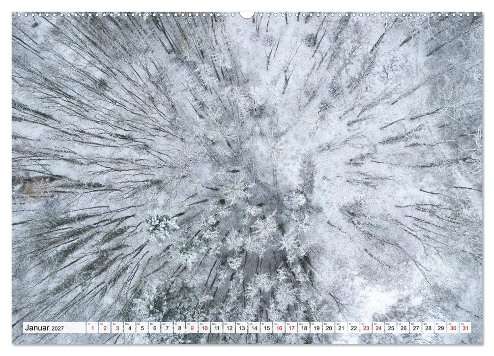 Traumhafte Wälder (CALVENDO Premium Wandkalender 2027)