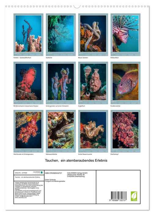 Tauchen, ein atemberaubendes Erlebnis (CALVENDO Premium Wandkalender 2027)