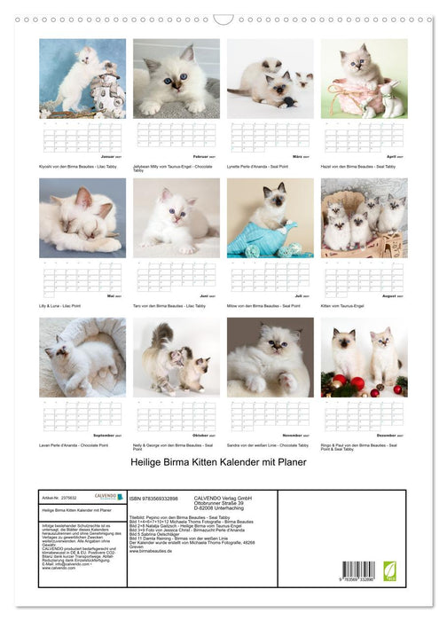 Heilige Birma Kitten Kalender mit Planer (CALVENDO Wandkalender 2027)