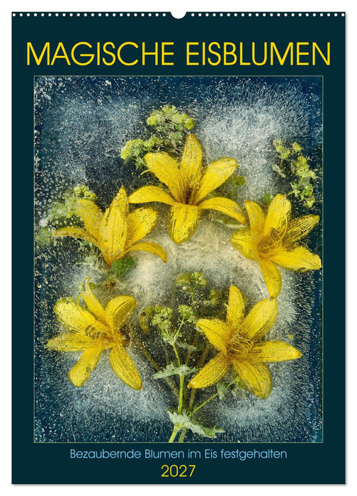 Magische Eisblumen (CALVENDO Wandkalender 2027)