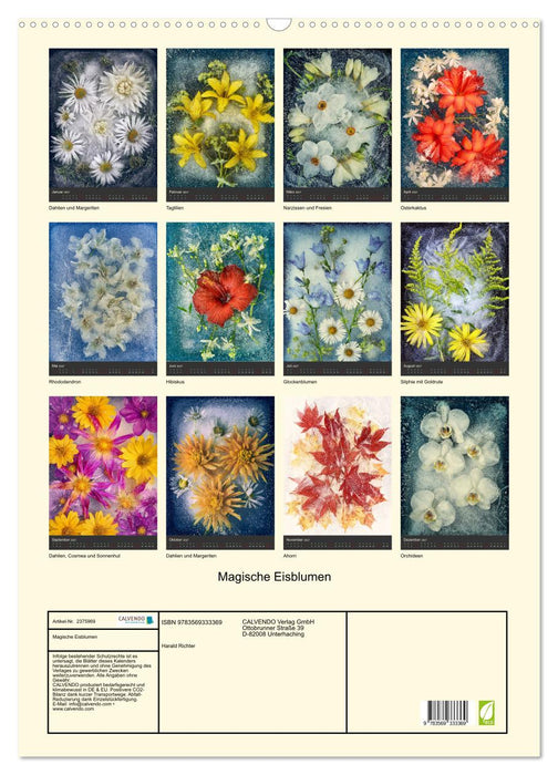 Magische Eisblumen (CALVENDO Wandkalender 2027)