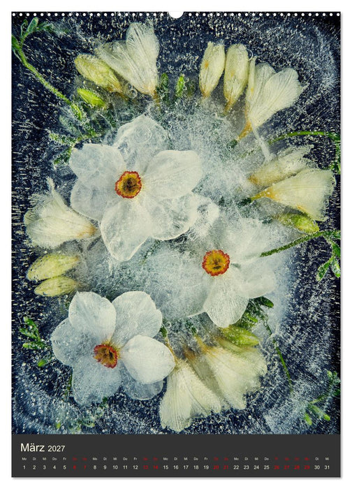 Magische Eisblumen (CALVENDO Wandkalender 2027)
