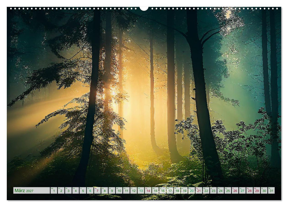 Waldgeflüster - ein kunstvoller Spaziergang durch unsere Wälder (CALVENDO Wandkalender 2027)