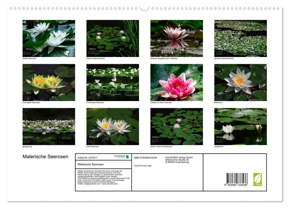 Malerische Seerosen (CALVENDO Premium Wandkalender 2027)