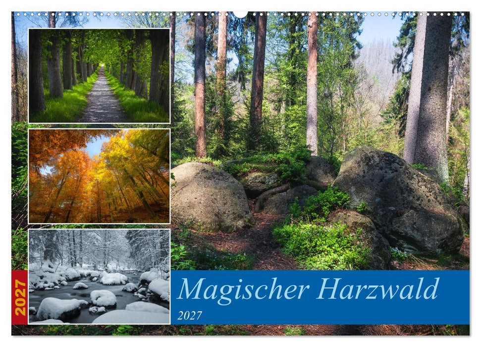 Magischer Harzwald (CALVENDO Wandkalender 2027)