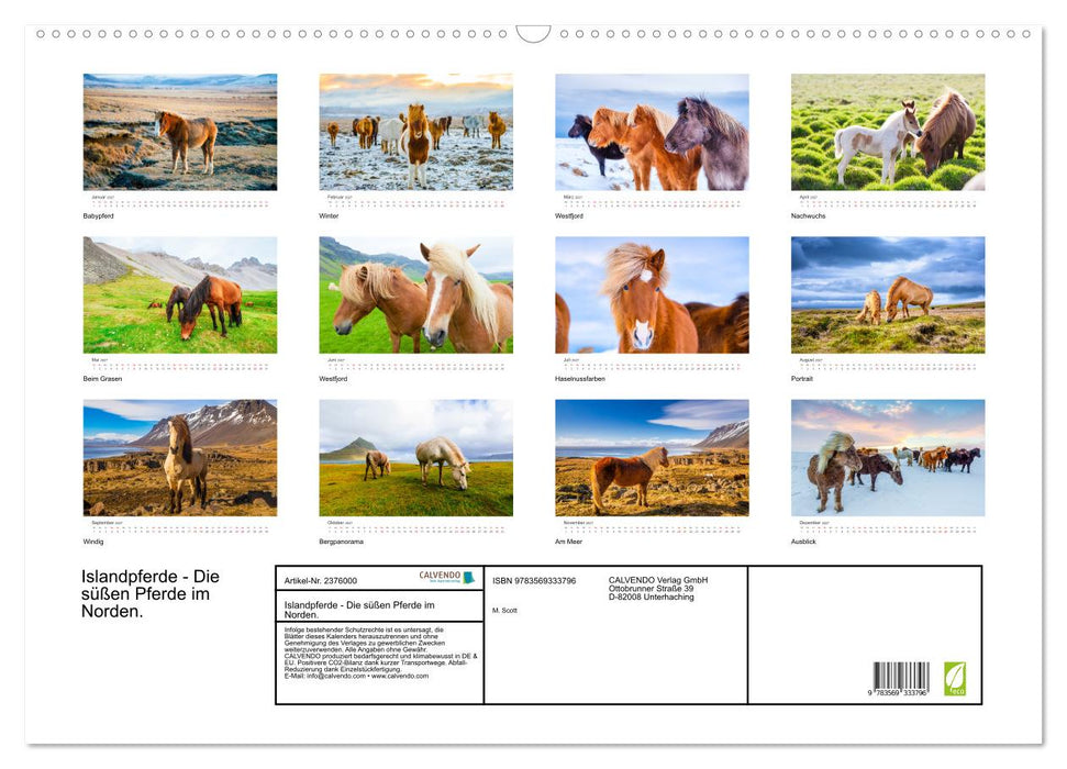 Islandpferde - Die süßen Pferde im Norden. (CALVENDO Wandkalender 2027)