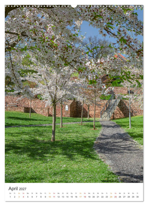 Lutherstadt Eisleben (CALVENDO Premium Wandkalender 2027)