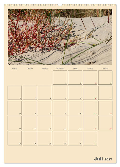 Usedom Ostsee - Terminplaner (CALVENDO Premium Wandkalender 2027)