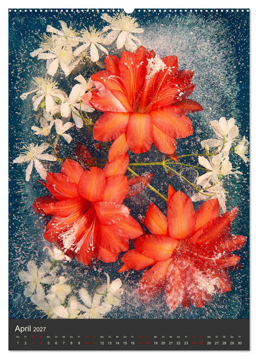Magische Eisblumen (CALVENDO Premium Wandkalender 2027)