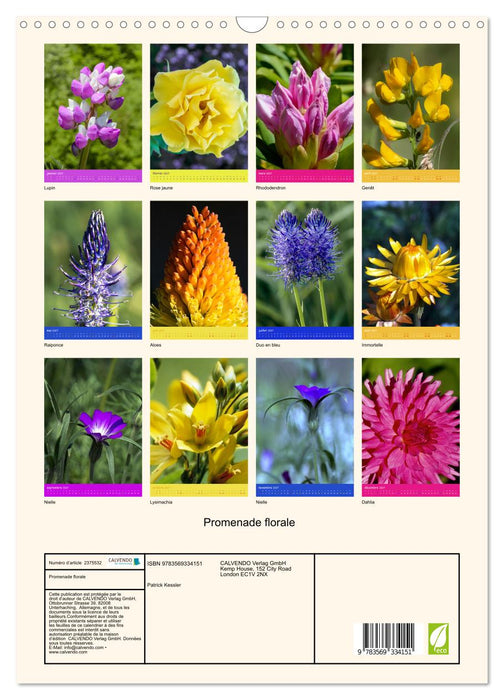 Promenade florale (CALVENDO Calendrier mensuel 2027)