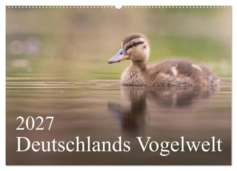 Deutschlands Vogelwelt (CALVENDO Wandkalender 2027)